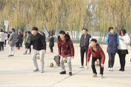 图片8